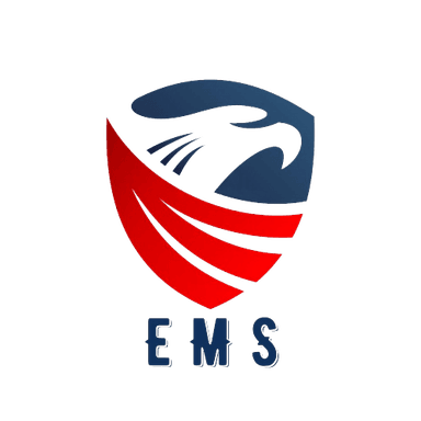EMS Visa Consultant